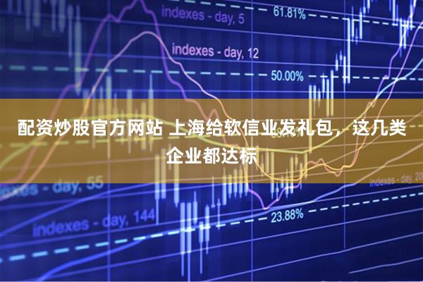配资炒股官方网站 上海给软信业发礼包，这几类企业都达标